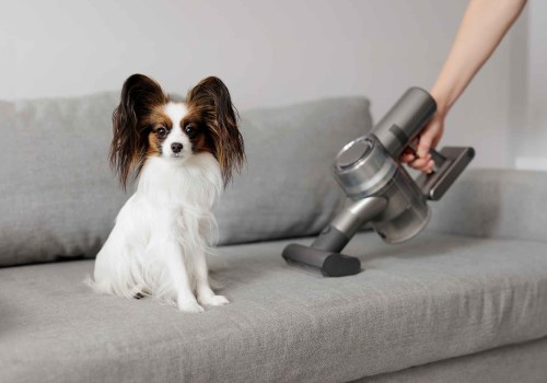 How to Get Rid of Pet Dander With First-Rate HVAC Maintenance Solutions